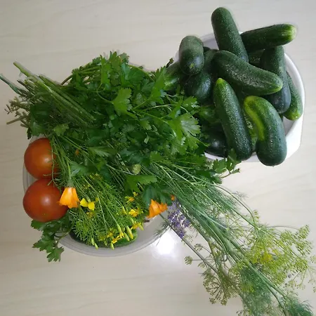 Perepuhkus Penzion Kärdla
